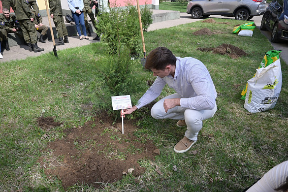 В Иванове посадили 6 туй в честь работников цирков - участников Великой Отечественной войны 
